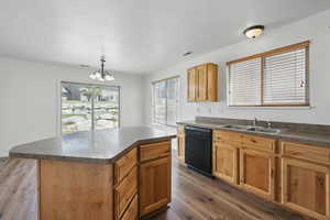 Kitchen featuring black dishwasher, a sink, dark countertops, and dark wood-style flooring