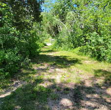 View of woods