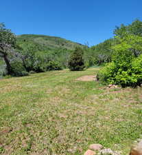 View of yard featuring a forest view