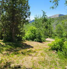 View of yard with a mountain view