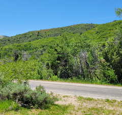 View of mountain backdrop featuring a forest