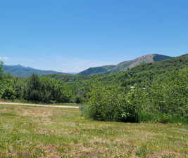 View of mountain background with a forest