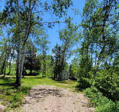 View of grassy yard