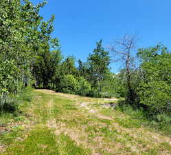 View of undeveloped land