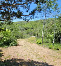 View of wooded area