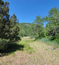 View of woods