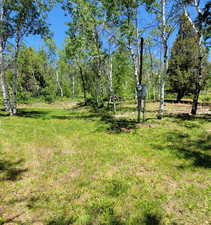 View of green lawn