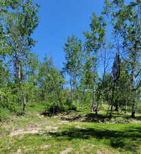 View of nature
