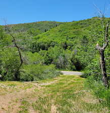 View of mountain backdrop featuring a forest