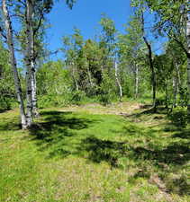 View of green lawn