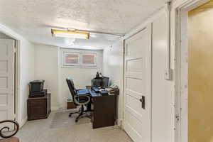 Office with light colored carpet, baseboards, and a textured ceiling