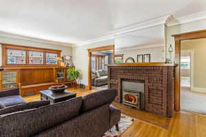 Living area featuring ornamental molding, baseboards, wood finished floors, and a fireplace