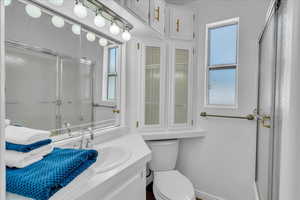 Full bathroom featuring a shower with shower door, vanity, healthy amount of natural light, and toilet