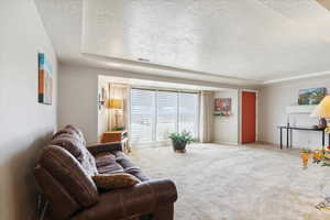 Carpeted living room with a textured ceiling and a raised ceiling