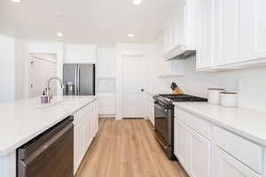 Kitchen featuring appliances with stainless steel finishes, a sink, white cabinets, light wood-style flooring, and recessed lighting