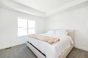 Carpeted bedroom with baseboards and a raised ceiling