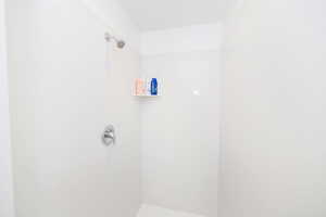Full bath featuring a shower