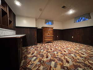 Finished basement featuring wainscoting, a textured ceiling, and carpet floors