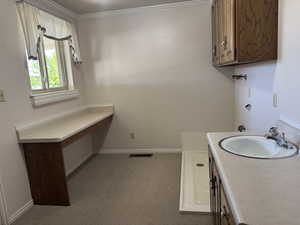 Laundry room featuring a sink, carpet floors, baseboards, and crown molding