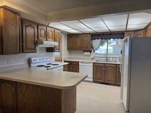 Kitchen with white appliances, a sink, under cabinet range hood, a peninsula, and light carpet