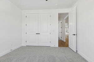 Unfurnished bedroom featuring carpet, baseboards, and a closet