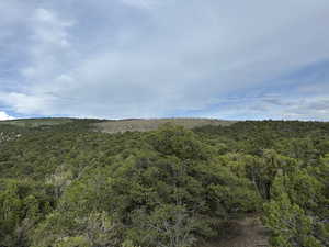 View of wooded area
