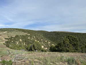 View of mountain background