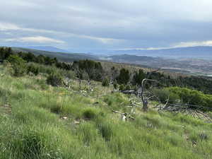Mountain view