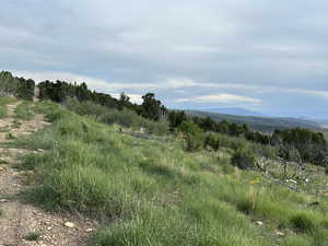 View of mountain background