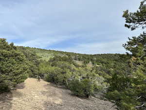 View of wooded area
