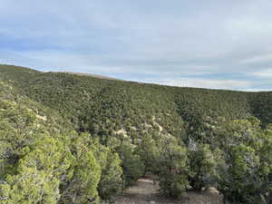 Mountain view featuring a heavily wooded area