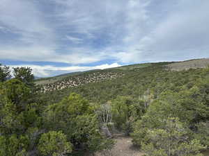 View of mountain backdrop featuring a heavily wooded area