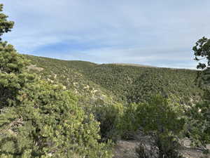 View of mountain backdrop with a heavily wooded area