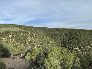 Mountain view featuring a heavily wooded area