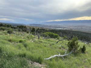 View of mountain background