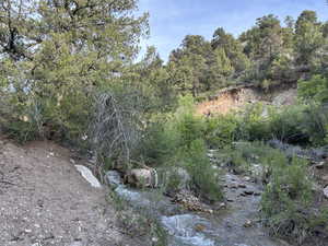 View of nature