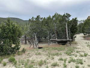 View of yard featuring a view of countryside and a view of trees