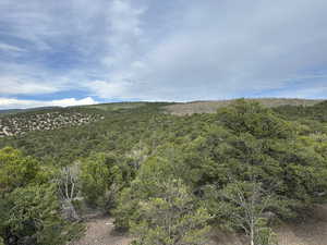 View of mountain background with a heavily wooded area
