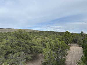 View of wooded area