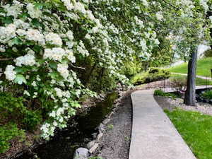 View of community paths just out back