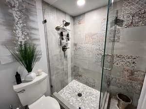 Designer Master shower room