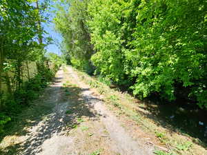 Trail