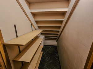 Storage under stairs