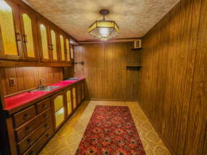 Bar area with a sink and wooden walls