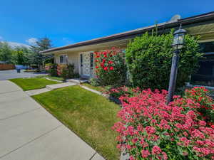 Ranch-style home with a front lawn