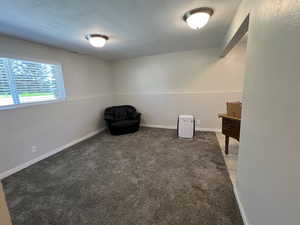 Main part of downstairs family room.
