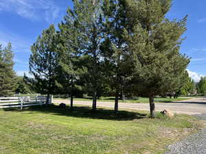 Mature pine trees shade the southern elevation