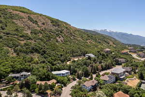 Aerial view of a mountain backdrop and a forest