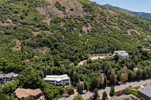 Drone / aerial view of a heavily wooded area and a mountainous background