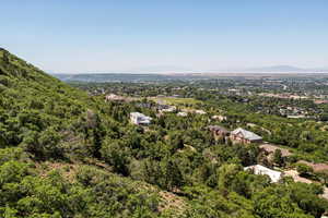 Bird's eye view of a forest and a mountain backdrop
